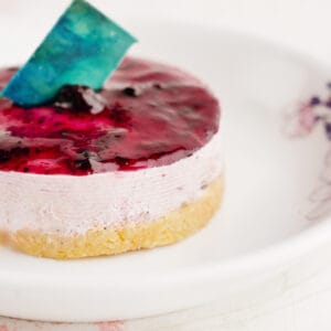 Blueberry Cheese Cakes