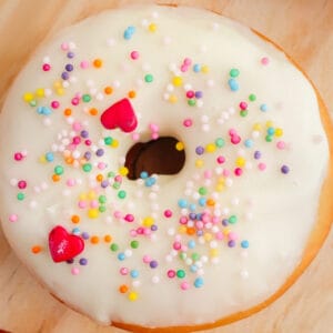 DONUTS VANILLA SPRINKLE